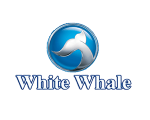White whale